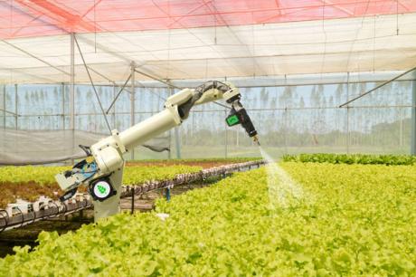 Autonomous spraying of crops